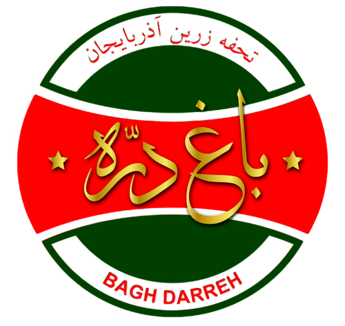 لوگو